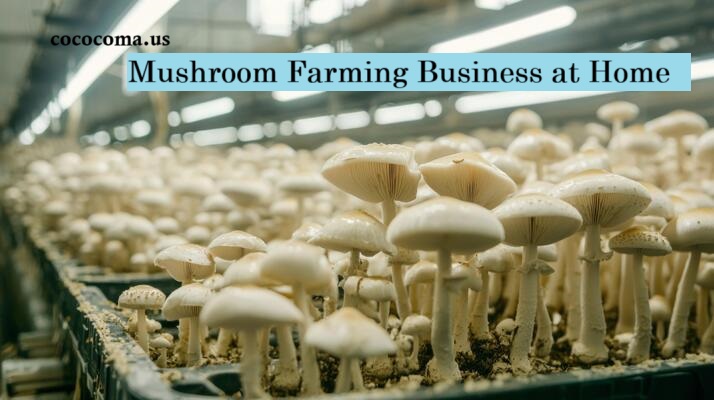 How to Start a Small-Scale Mushroom Farming Business at Home (Even If You’re a Beginner) 1 Mushroom Farming Business at Home